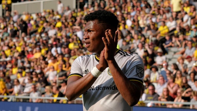 Luis Diaz Revolution