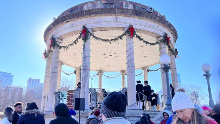 Local advocates gathered at Boston Common Friday afternoon.