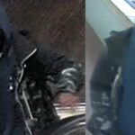 Transit police are searching for this suspect, who allegedly assaulted a teen Jan. 3 in Davis Square station.
