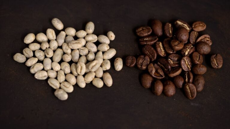 Microwaving your coffee changes it, and other lessons learned (while sipping espresso) in MIT’s coffee class