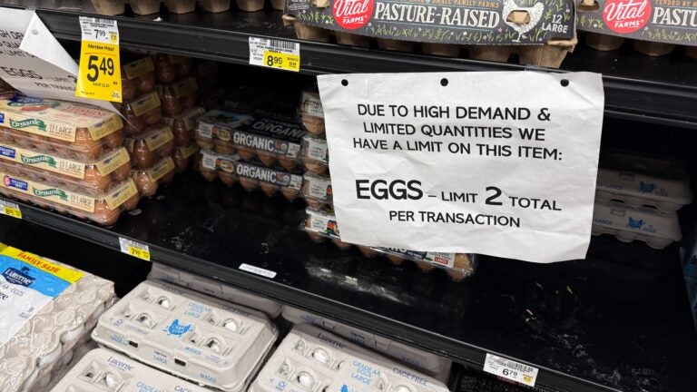 Egg prices continue to climb amid the bird flu outbreak