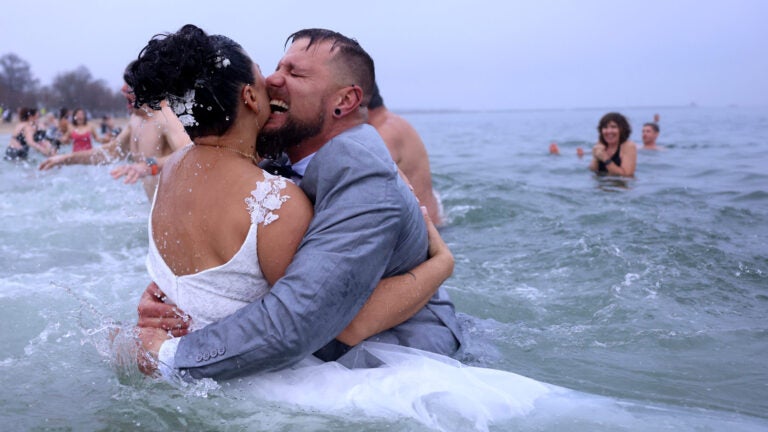 This was the wild scene at this year’s L Street Brownies polar plunge