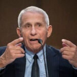 Anthony Fauci is featured in a new program at the Museum of Science.