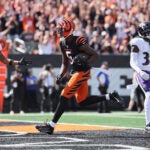 Tee Higgins Patriots