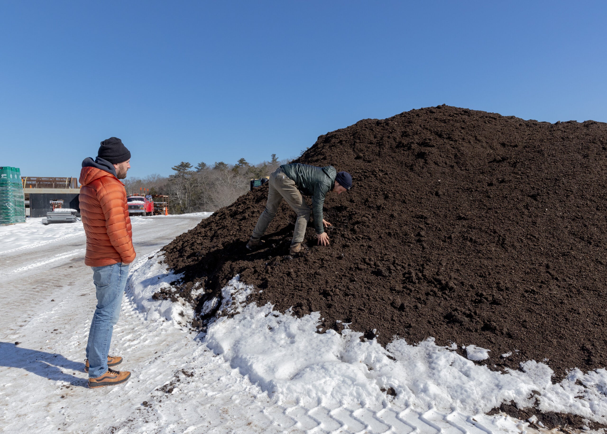 Compost at Black Earth Compost in Manchester-by-the-Sea.