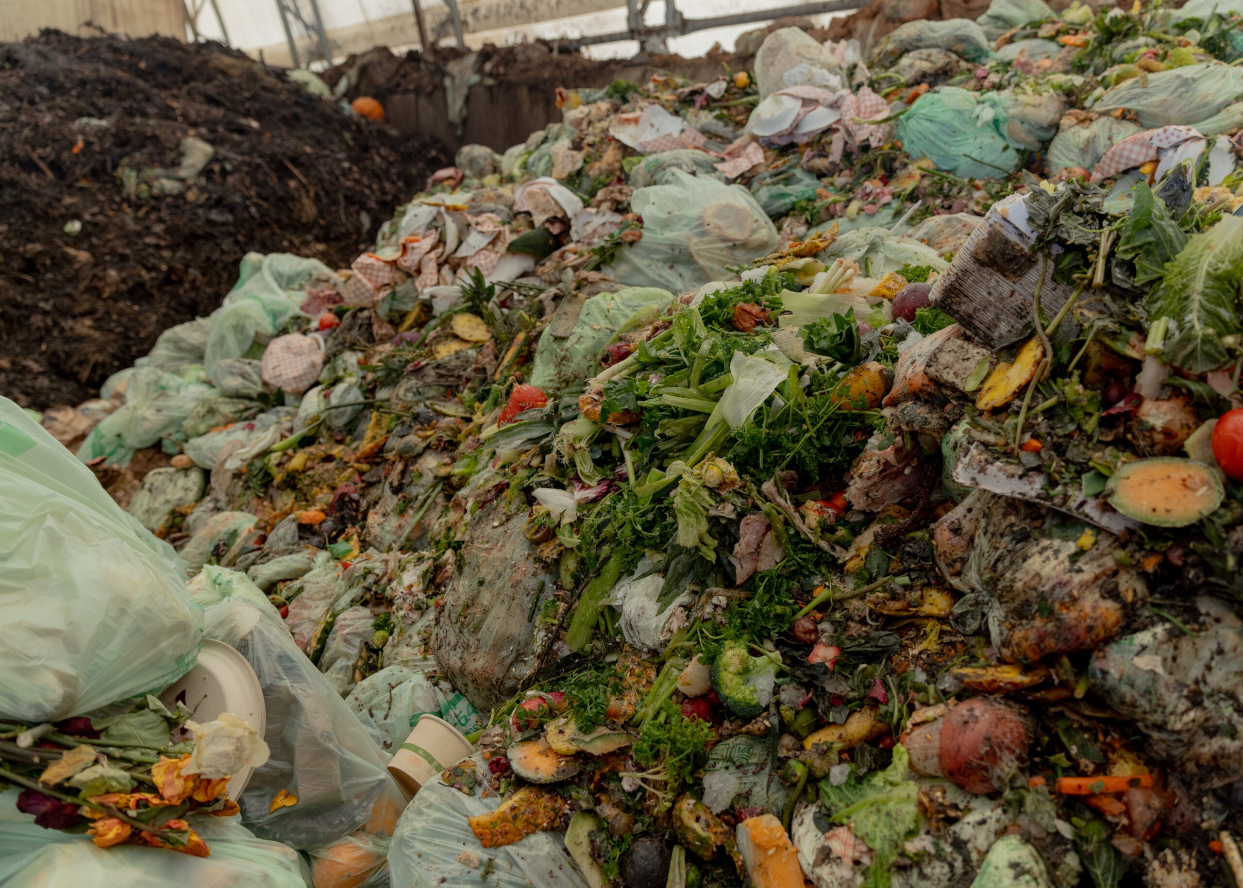 Organic waste at Black Earth Compost in Manchester-by-the-Sea.