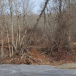 A 62-year-old Uxbridge man was found fatally injured on a Rhode Island hiking trail.