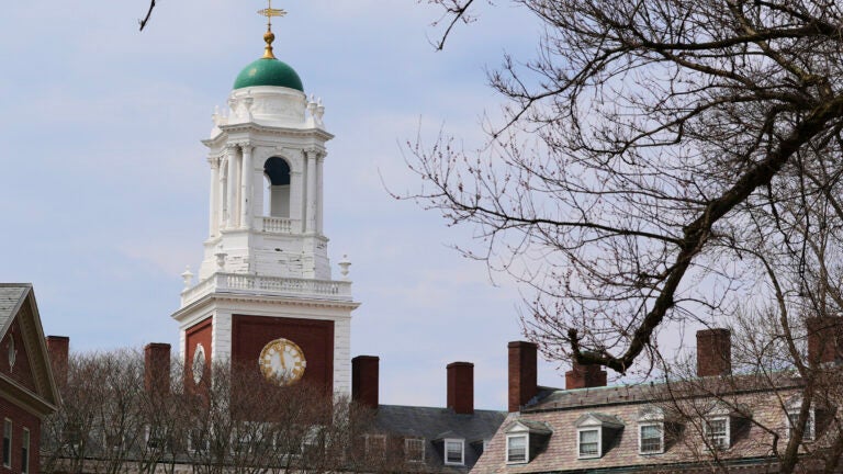 Harvard se une a la universidad y recurre a autofinanciar algunas investigaciones para compensar los recortes de fondos federales