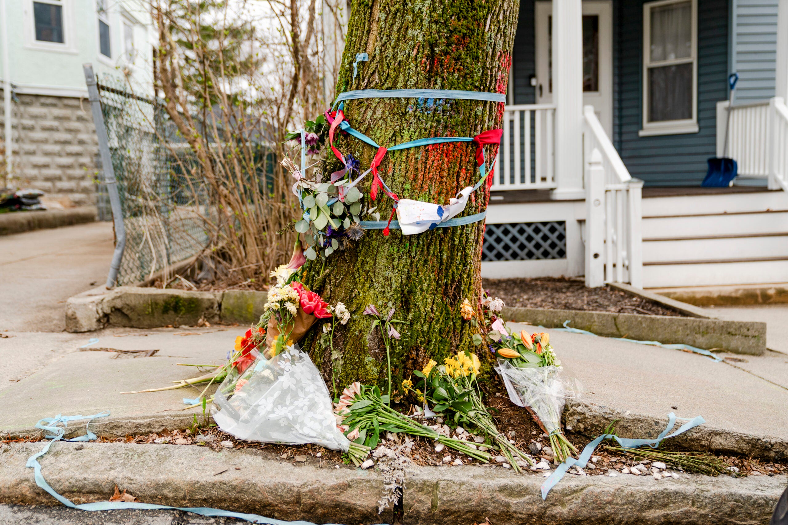Flowers next to the spot where Rumeysa Ozturk, a Tufts student, was taken into custody by the Department of Homeland Security, in Somerville.