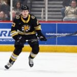 HERSHEY, PENNSYLVANIA - JANUARY 05: Michael Callahan #23 of Providence Bruins skates against the Hershey Bears at the Giant Center on January 05, 2025 in Hershey, Pennsylvania.