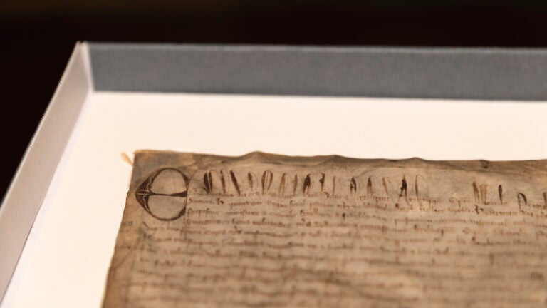 Harvard thought it had a cheap copy of the Magna Carta. It turned out to be extremely rare. Harvard thought it had a cheap copy of the Magna Carta. It turned out to be extremely rare.