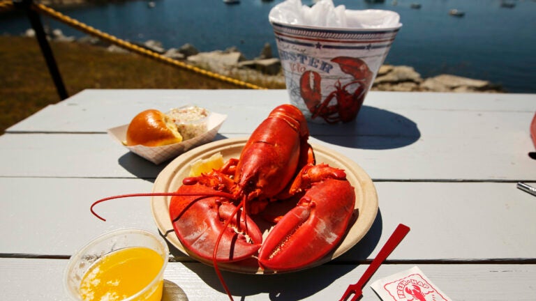 Lobster