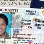 Have you ever wondered who the people are in those example REAL IDs?