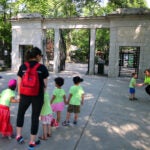 A woman and child were injured after they were struck by a falling tree branch at the Franklin Park Zoo.