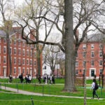 FILE - Students walk through Harvard Yard, April 27, 2022, on the campus of Harvard University in Cambridge, Mass.