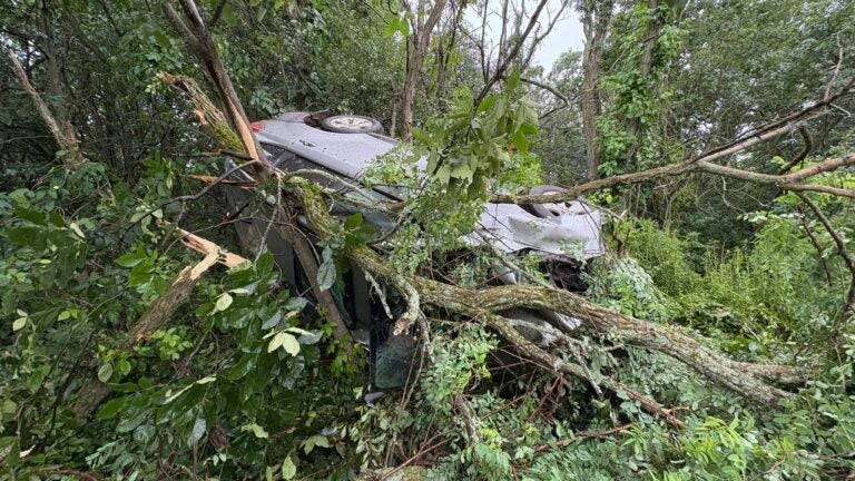 Car leaves I-95, ends up in tree in Newburyport