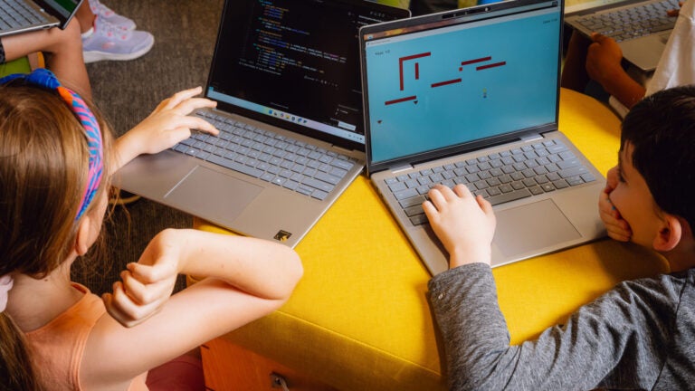 Alpha AI school