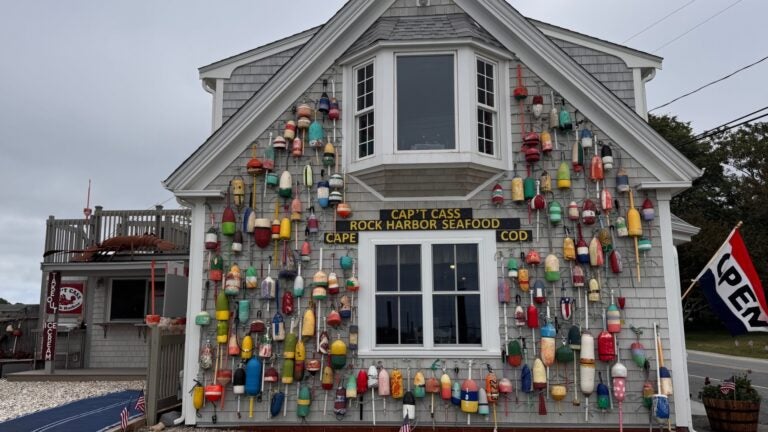 Cap't Cass Rock Harbor Seafood