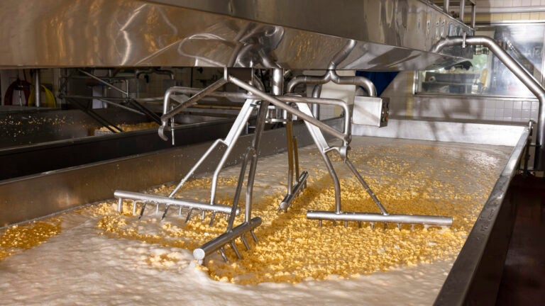America’s protein obsession is transforming the dairy industry