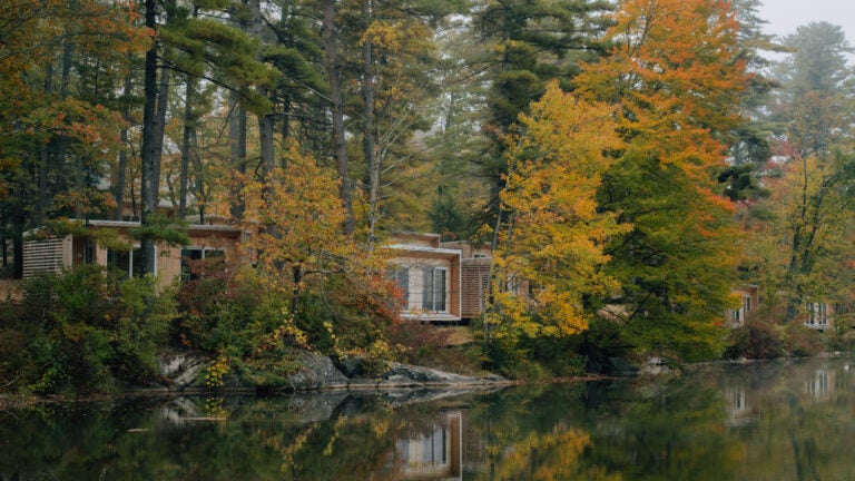 Lakeside cabins at Prospect Berkshires