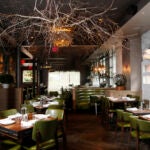 Banyan Bar + Refuge
