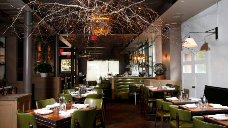 Banyan Bar + Refuge