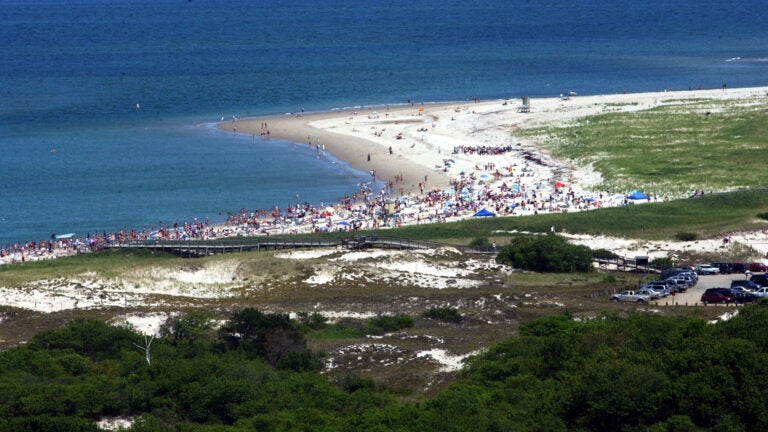 Crane Beach prepares for potential shark sightings