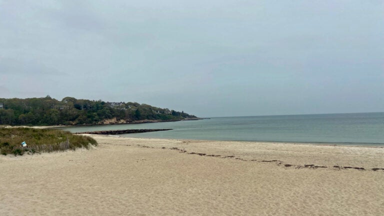Cape Cod swimmer infected with rare bacteria