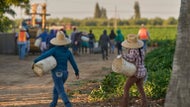 1.2 million immigrants are gone from the U.S. labor force