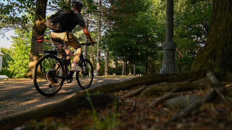 Neighbors successfully halt Cambridge bike path restoration project, for now