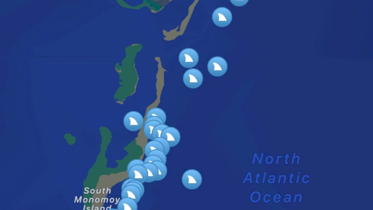 Great white sharks are flocking to this island off Chatham