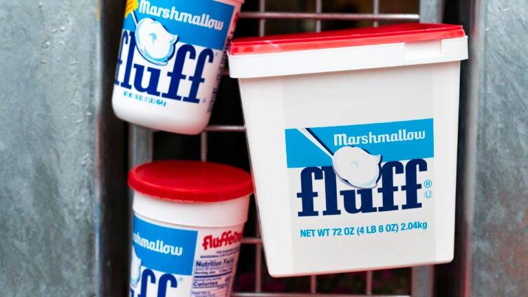 Fluff Festival