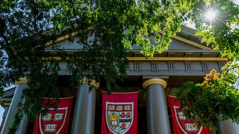 Harvard em Crise? Alunos Ignoram Aulas e Priorizam Networking, Revela Relatório