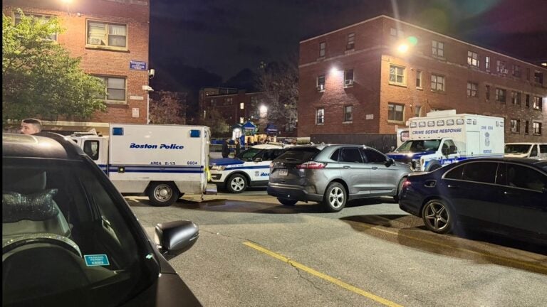 Man fatally shot in Jamaica Plain, police say