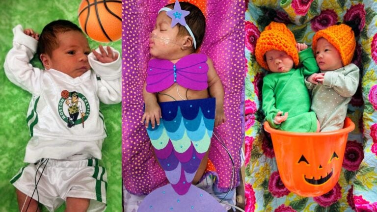 Boston Medical Center NICU babies dress up for Halloween - see the adorable photos