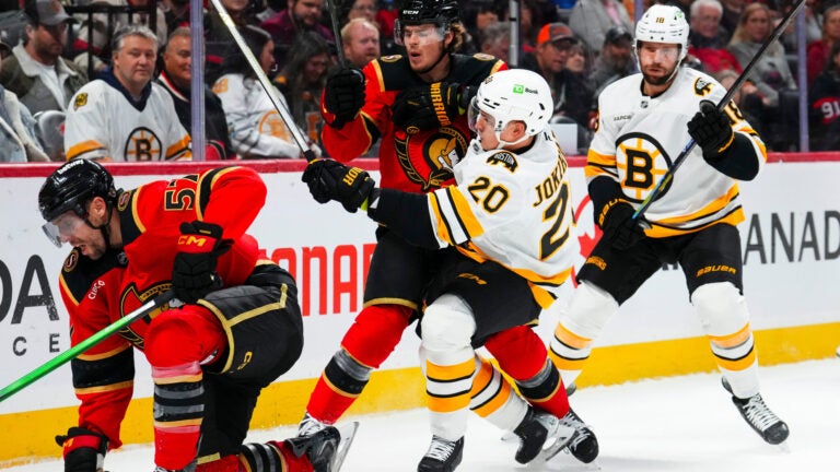 Bruins