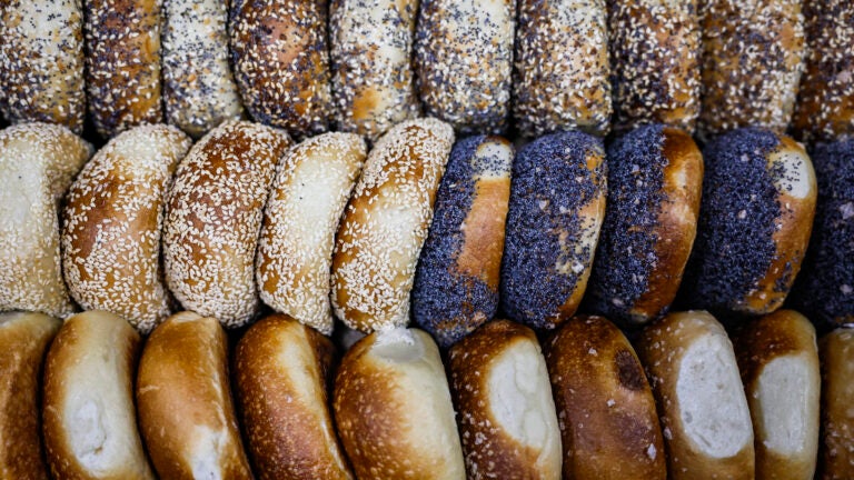 5 can't-miss restaurant openings and dining updates in Boston this week