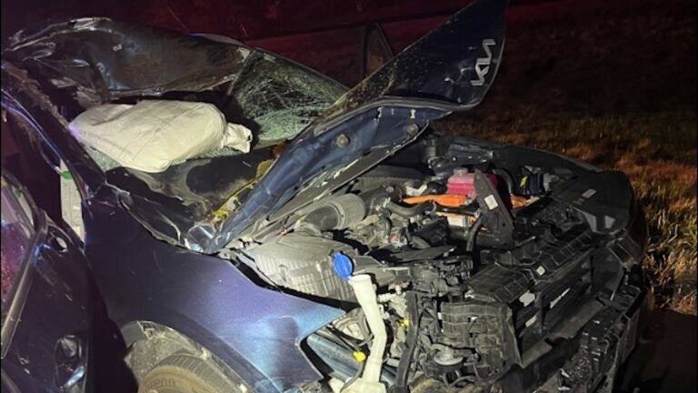 Moose hit by one car and then another on N.H. highway