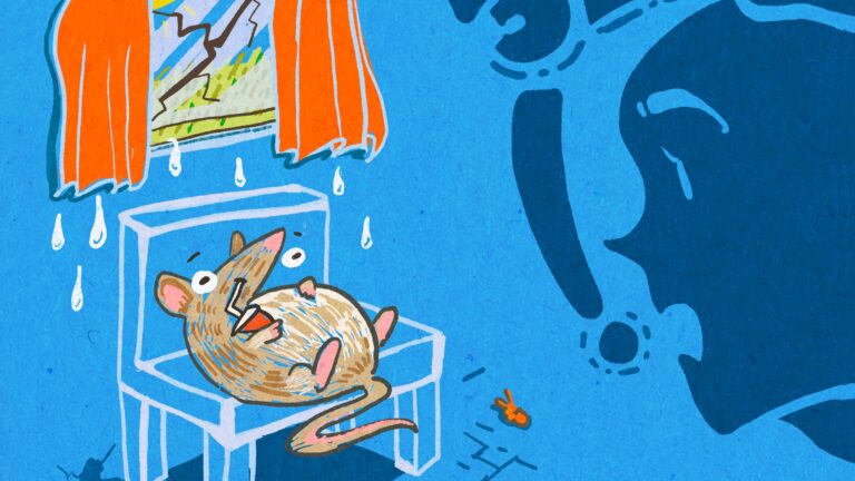 From rats to leaks: What Massachusetts renters need not put up with