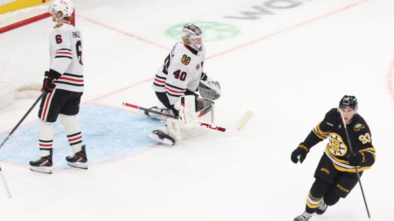 Bruins