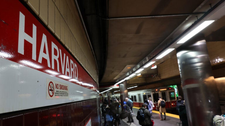 Cambridge firefighters rescue dog stuck in escalator at MBTA station
