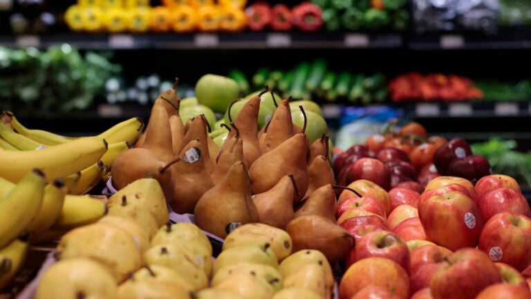 A Brookline farm will launch a free farmers market in response to the government shutdown's threat to SNAP benefits.