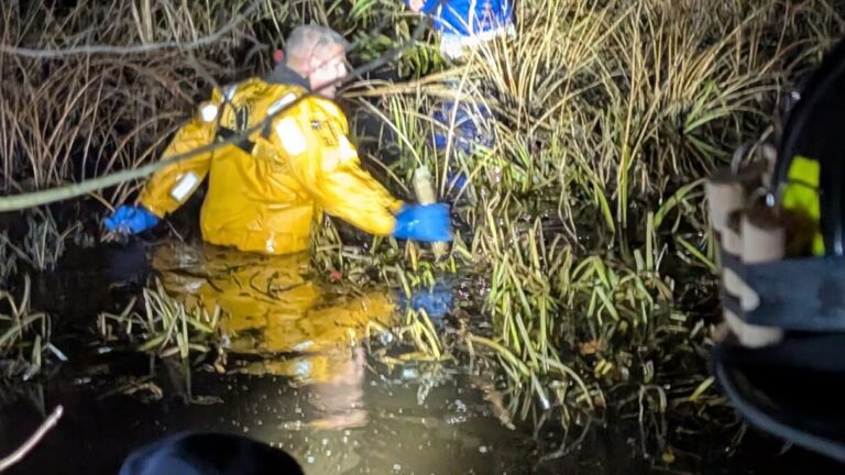 Manchester-by-the-Sea police, firefighters rescue woman stuck in swamp