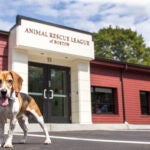 The Animal Rescue League of Boston received a $2 million donation to fund construction of its new three-story facility in the South End.