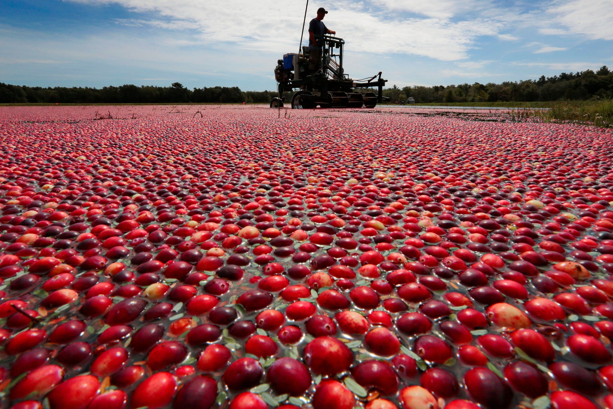 boston.com - Frances Klemm - 3 Mass. companies are among the most ethical in the U.S., according to MarketBeat