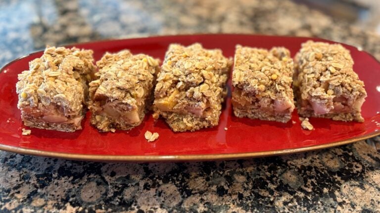 Ann Michael Maye has baked her way into Patriots fans' hearts. But are her apple cinnamon bars worth the hype?