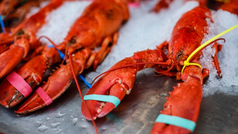 Truck carrying $400K in lobster stolen after it left Taunton facility