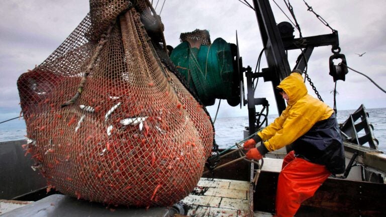 New England's shrimp fishery to shut down for the long haul after years of decline