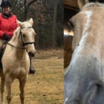 Photos of Rosie Kennedy with her 8-year-old horse, Pops before the Nov. 21 accident.