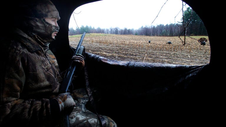 Hunting season is here in Mass. Be careful if you walk or bike in these areas.